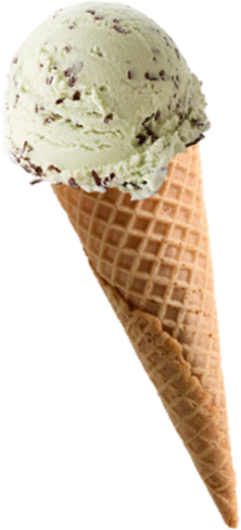 Mint Chocolate Chip